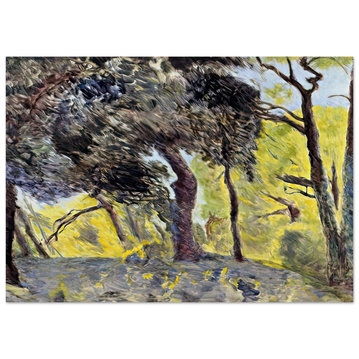 In the Woods (study) Poster | Pierre Bonnard Poster | Pierre Bonnard Shop