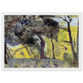 In the Woods (study) Framed Poster | Pierre Bonnard Framed Prints Wall Art | Pierre Bonnard Shop