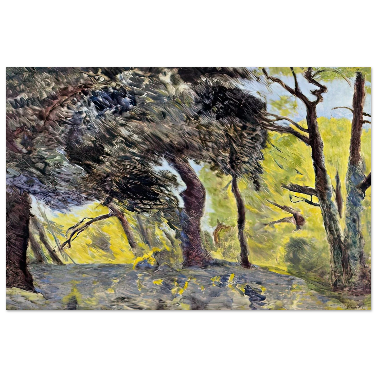 In the Woods (study) Poster | Pierre Bonnard Poster | Pierre Bonnard Shop