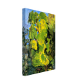 The Pony Canvas | Pierre Bonnard Canvas | Pierre Bonnard Shop
