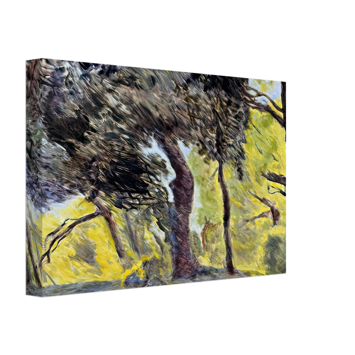 In the Woods (study) Canvas | Pierre Bonnard Canvas | Pierre Bonnard Shop
