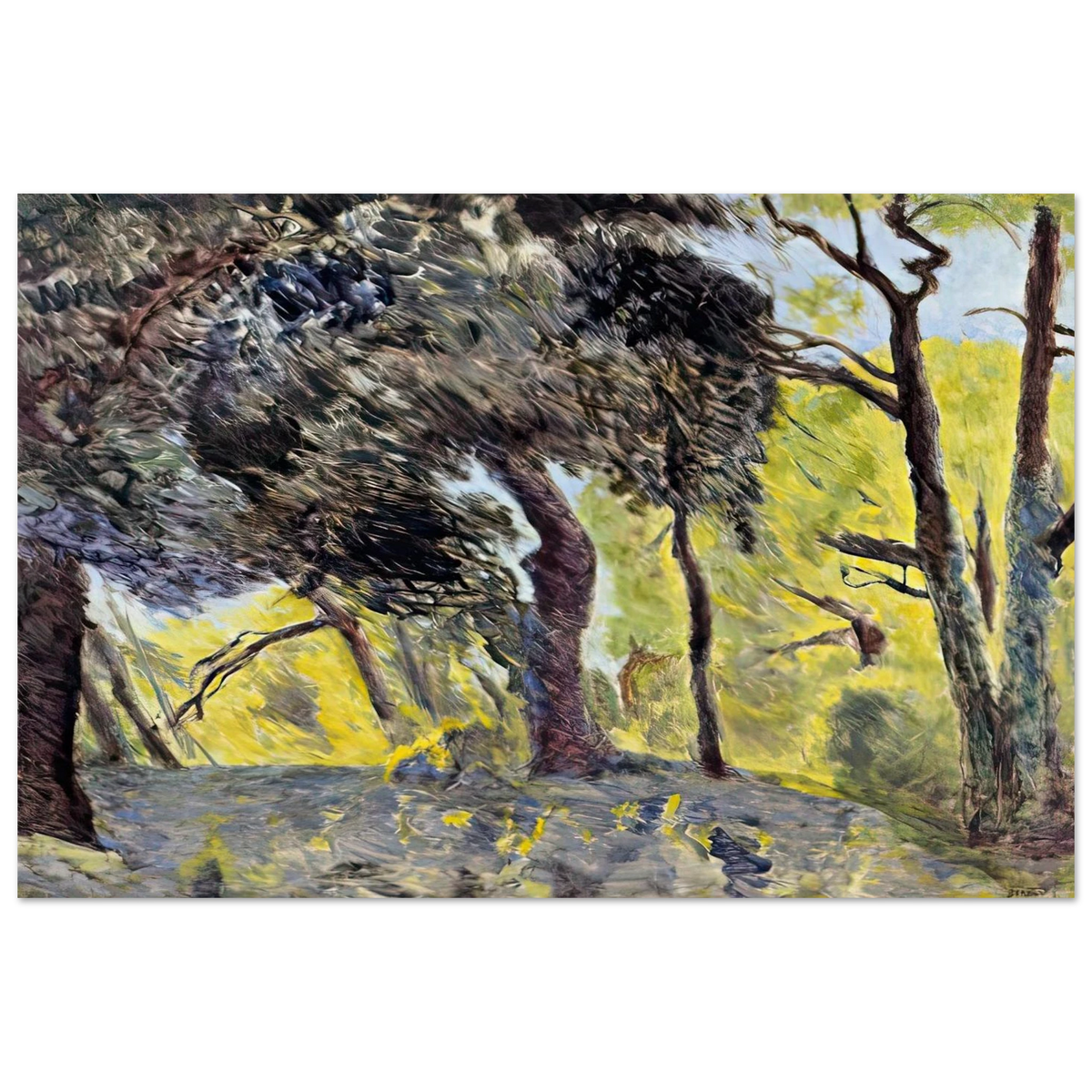 In the Woods (study) Poster | Pierre Bonnard Poster | Pierre Bonnard Shop